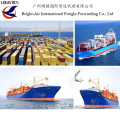 Empresa de Logística Sea Freight Shipping Forwarder de China a Perú